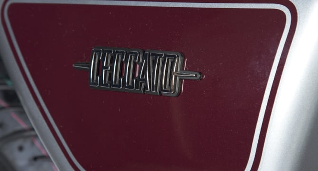 Detalles de modelo